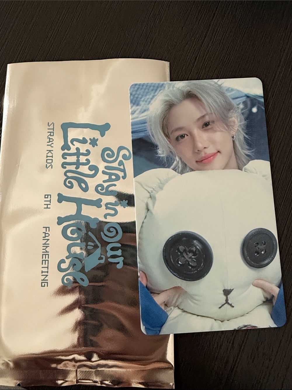 Stray kids Felix special trading card - stay in our little house